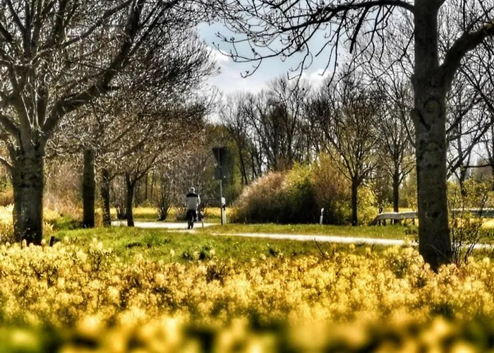 Apartmentvermittlung Mehr Als - Objekt 11 Appartement *